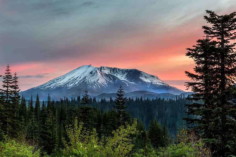 Mt St Helens Photograph by Mike Centioli