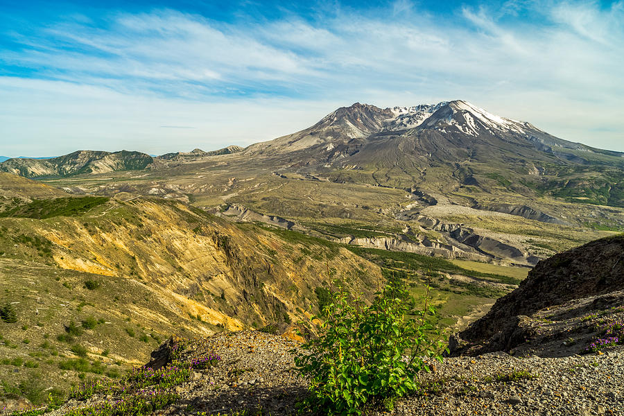 Mt St Helens Renewal Photograph by Ken Stanback