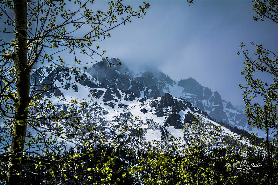 Mt. Tallac Photograph by Steph Gabler