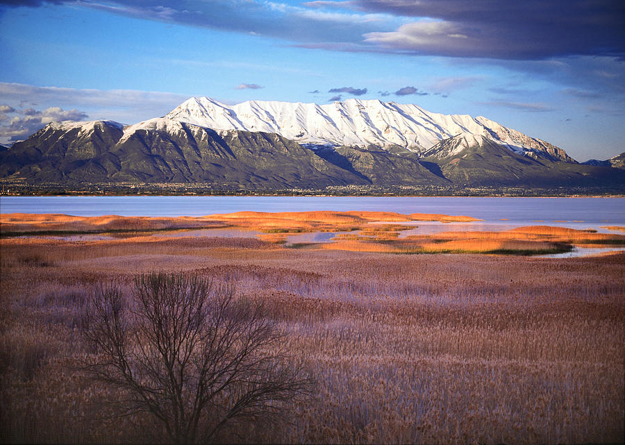 Winter Photograph - Mt. Timpanogos and Utah Lake by Douglas Pulsipher
