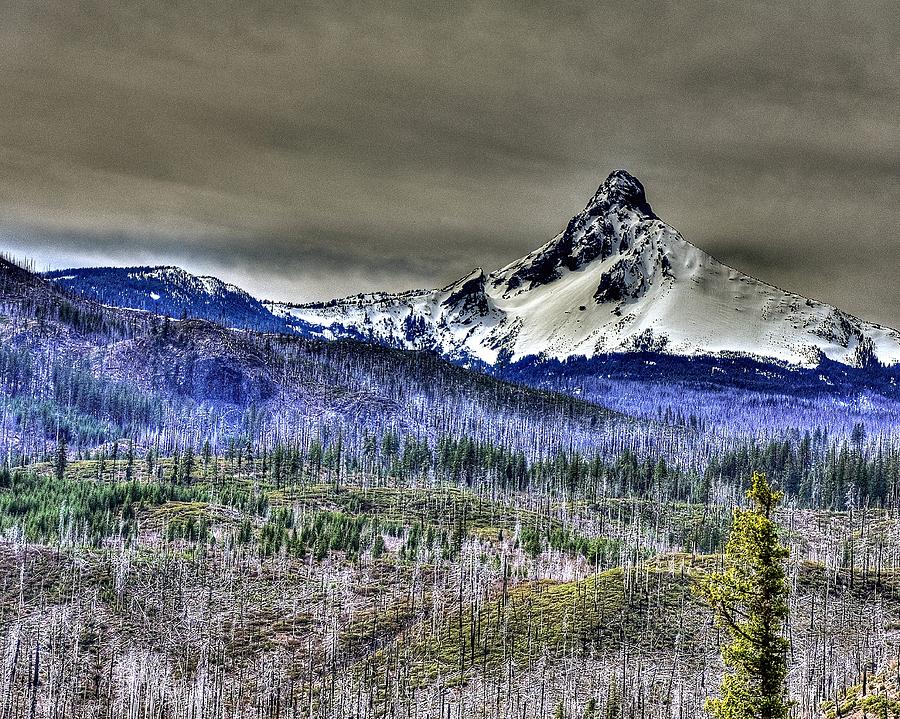 Mt. Washington 563 Photograph by Jerry Sodorff