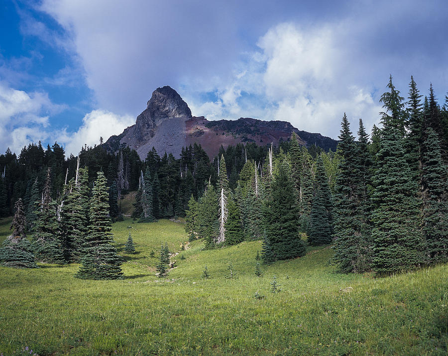 Mt. Washington Photograph by Robert Potts