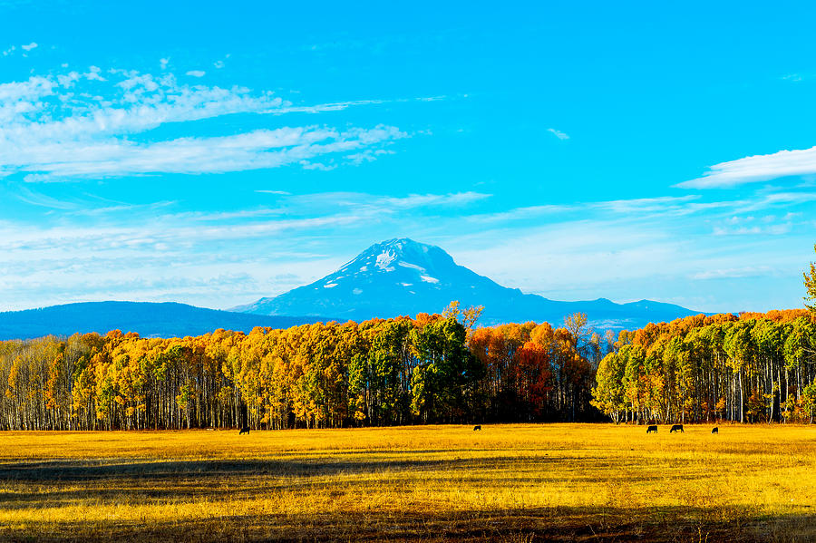 Mt.Adams in fall  Photograph by Hisao Mogi