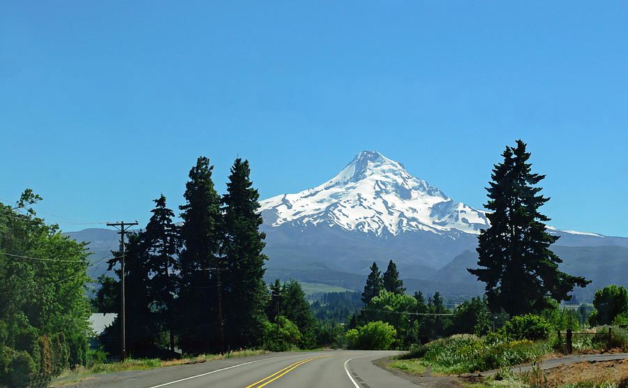 Mt. Hood in the Summer Photograph by Tikvahs Hope