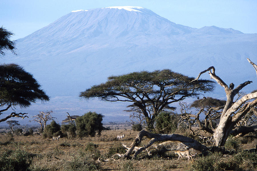 Worsley Photograph - Mt.Kilimanjaro by Wade Worsley Worsley Photograph - Mt.Kilimanjaro by Wade Worsley