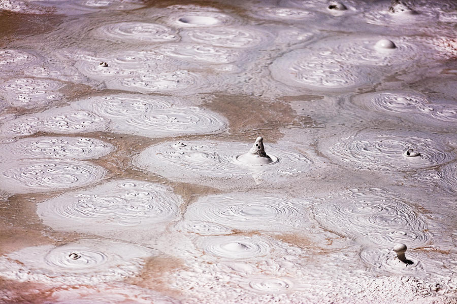 Mud Bubbles Photograph by Josh Bryant