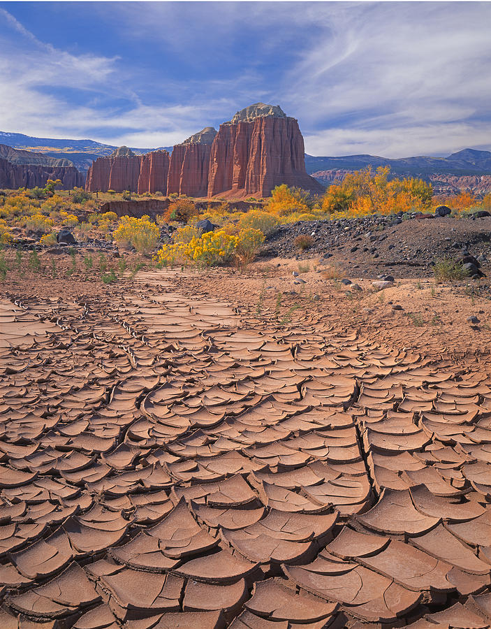 212648-Mud Cracks Upper Cathedral Valley  Photograph by Ed  Cooper Photography