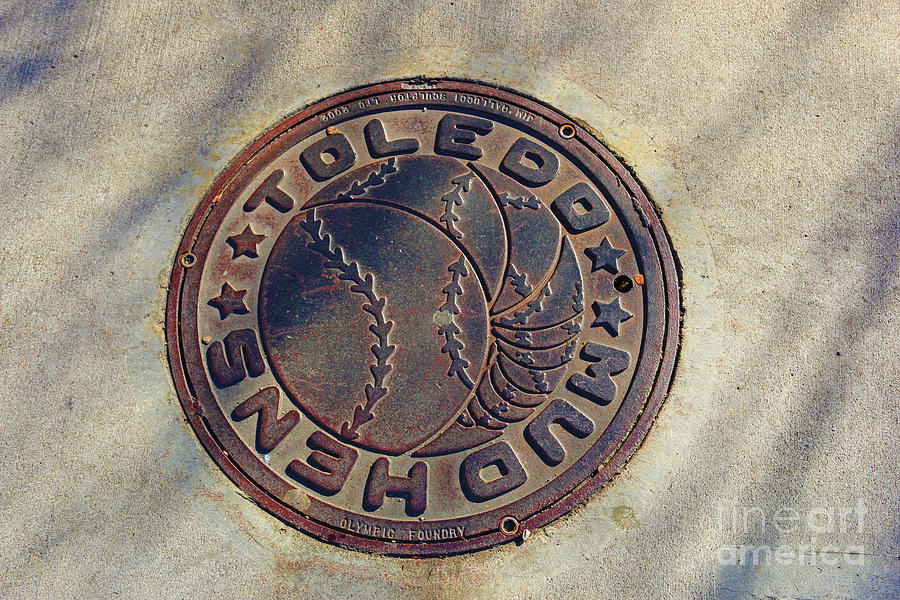 Mud Hens Man Hole Cover 5103 Photograph by Jack Schultz