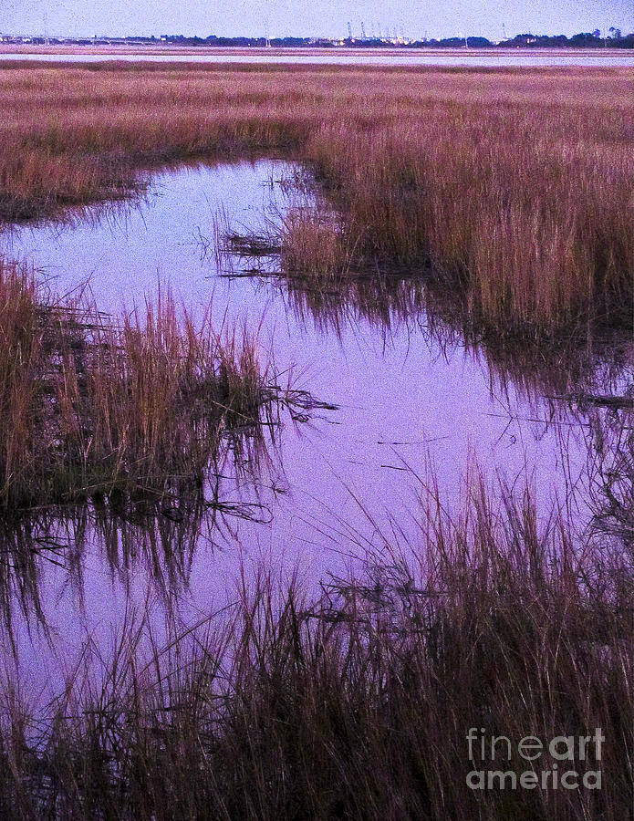 Mud Puff Marsh Photograph by Johnnie Stanfield