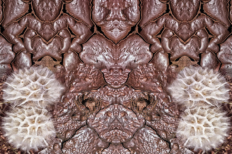 Portrait Digital Art - Mud Puffmen by Becky Titus