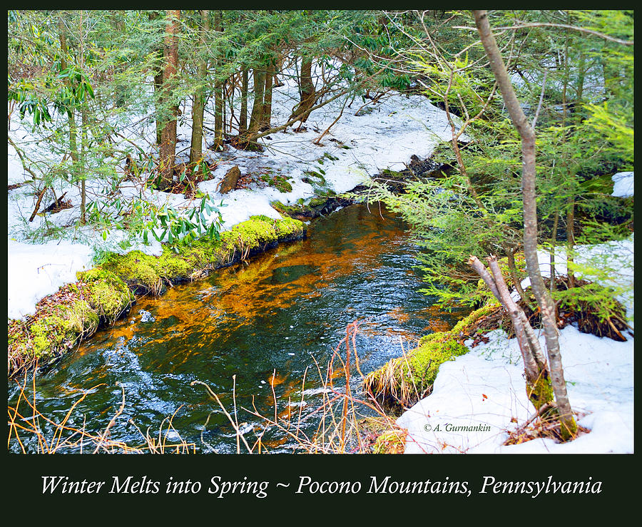 Mud Run Pocono Mountain Stream Pennsylvania Season Change Photograph by A Macarthur Gurmankin