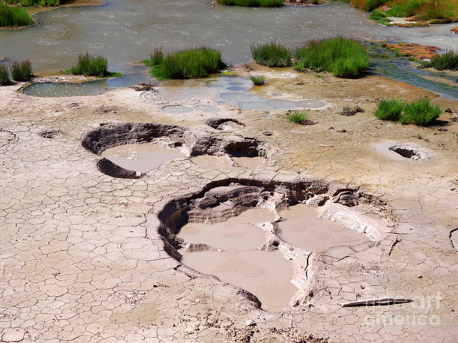 Mud Volcano Area in Yellowstone National Park Photograph by Louise Heusinkveld