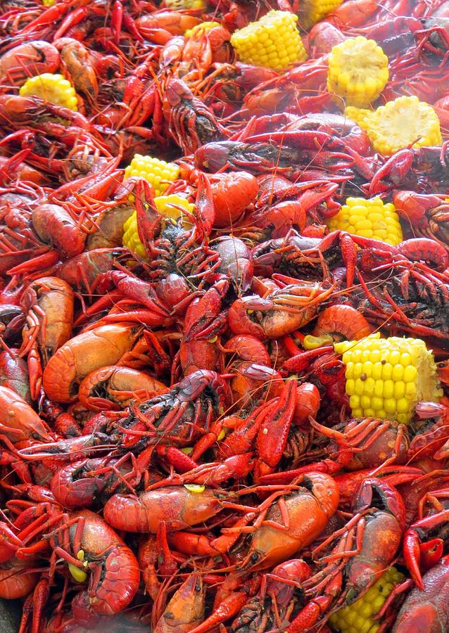 Mudbugs Photograph by Marie Alvarez - Pixels