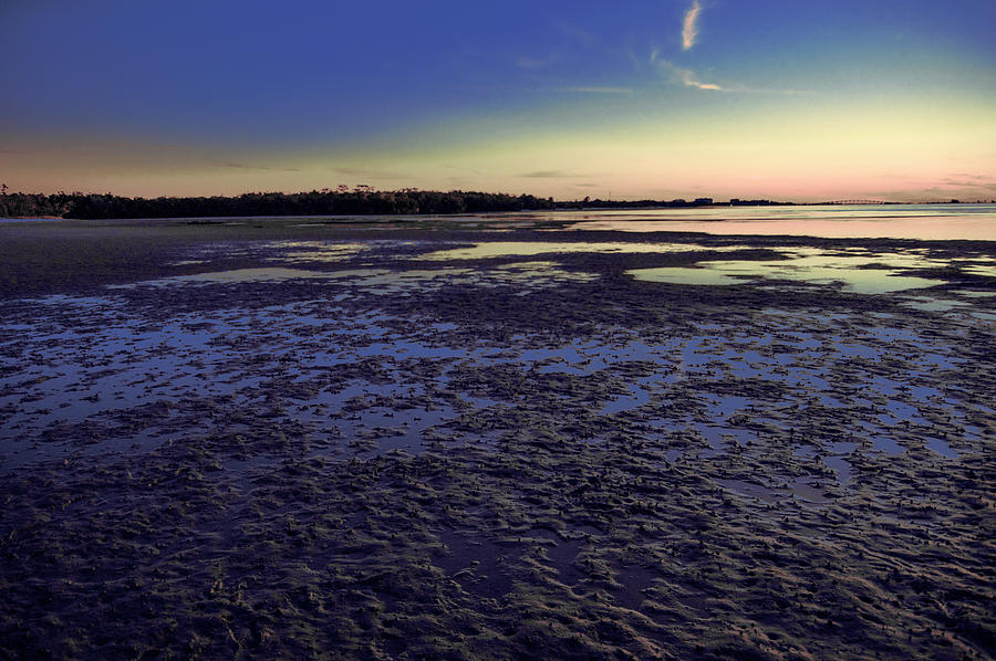 Muddy Beach Photograph By Michael Frizzell - Pixels