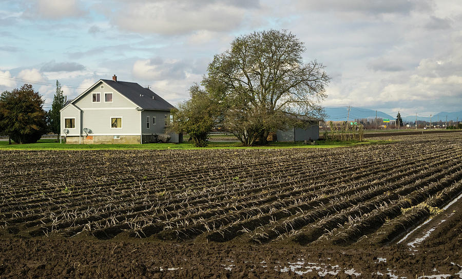 Muddy Farm Field in November Photograph by Tom Cochran