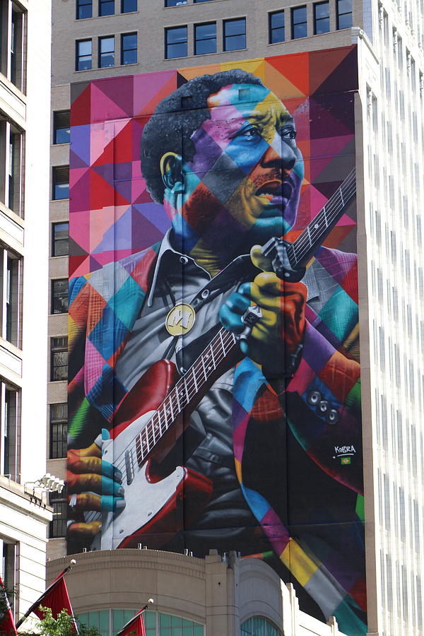 Muddy Waters in Chitown Photograph by Colleen Cornelius