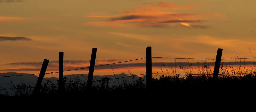 Mug - Prairie Sunset Photograph by Inge Riis McDonald