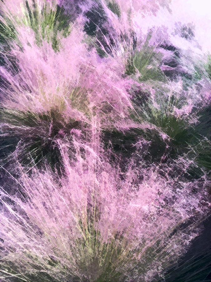 Muhly Grass  Photograph by Stan  Magnan
