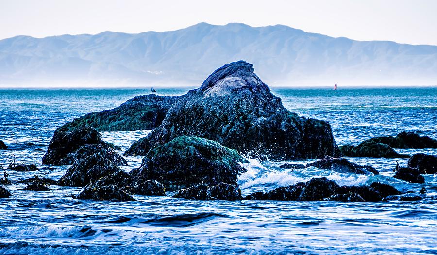 Muir Beach On Pacific Ocean Coast In California Photograph by Alex Grichenko