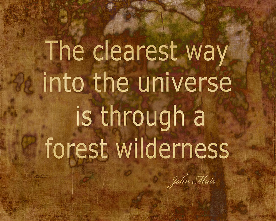 Muir Quote Nature Art Photograph by Ann Powell