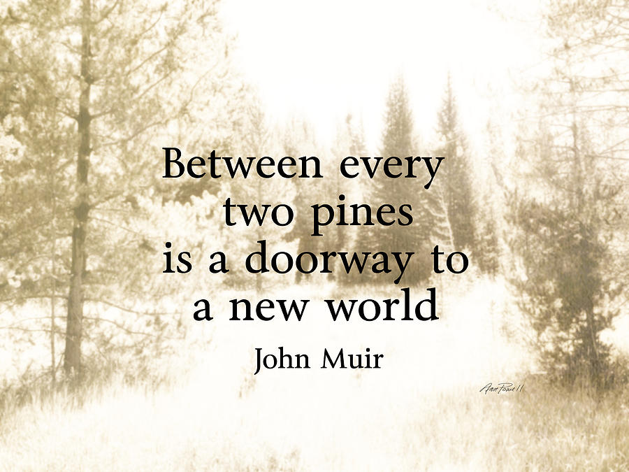 Muir Quote On Sepia  Photograph by Ann Powell
