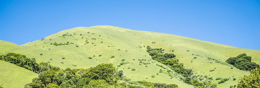 Muir Woods Forest Drive By Nature Near San Francisco Photograph by Alex Grichenko