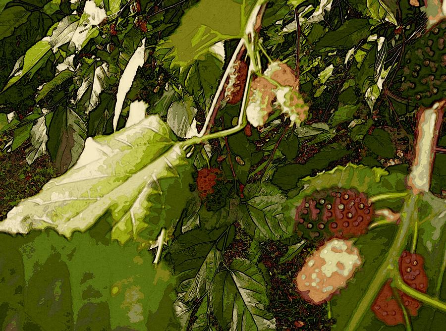 Mulberry Moment by Winsome Gunning Mulberry Moment by Winsome Gunning