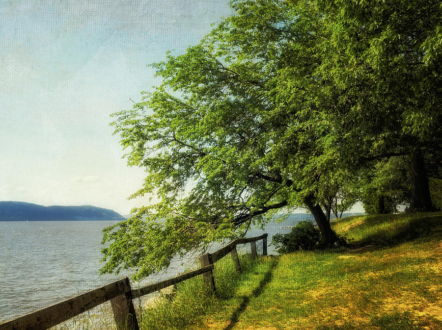 Mulberry on the Hudson Paint Photograph by Marianne Campolongo