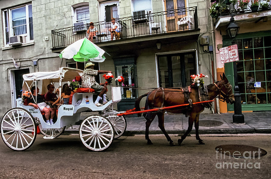 Mule and Buggy New Orleans Photograph by Thomas R Fletcher