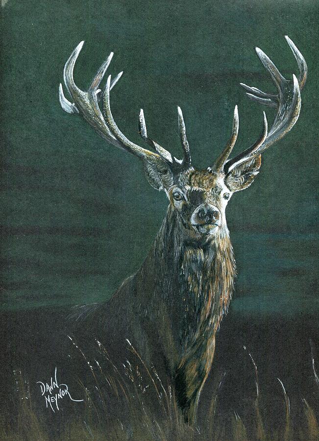 Mule Deer Drawing by Dawn Meynor