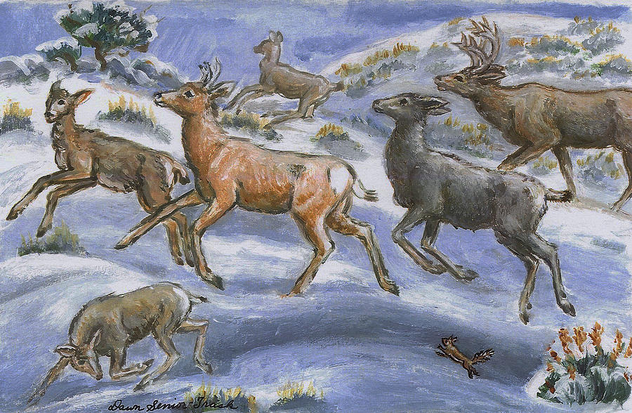 Christmas Painting - Mule Deer Surprise by Dawn Senior-Trask