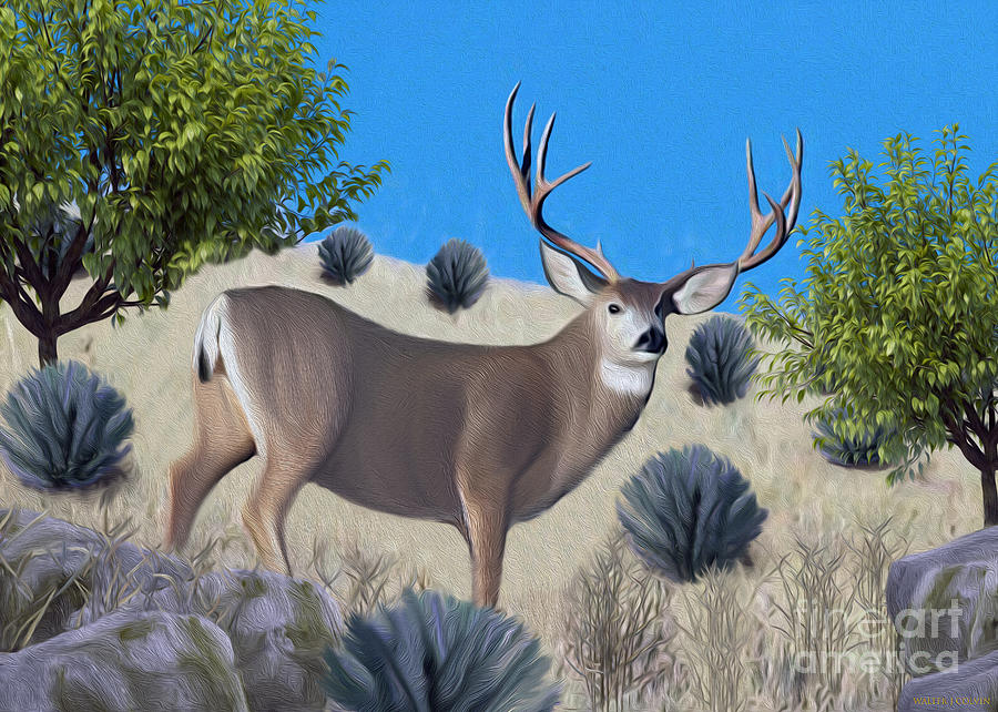 Mule Deer Trophy Buck Digital Art by Walter Colvin