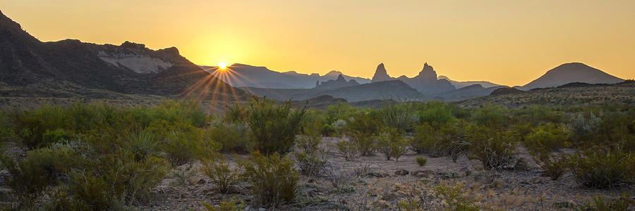 Mule Ears Sunrise 1 - Big Bend National Park - Texas Photograph by Brian Harig