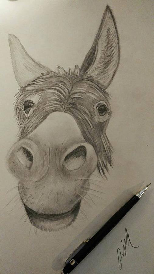 Mule face Drawing by Rebecca McVaigh