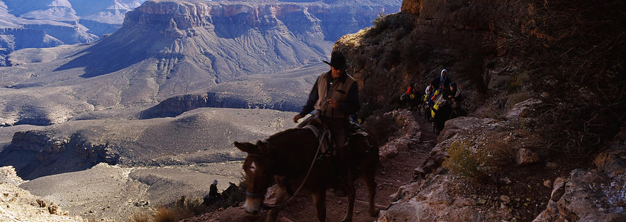 Mule Riders And Hikers On The Trail Photograph by Panoramic Images