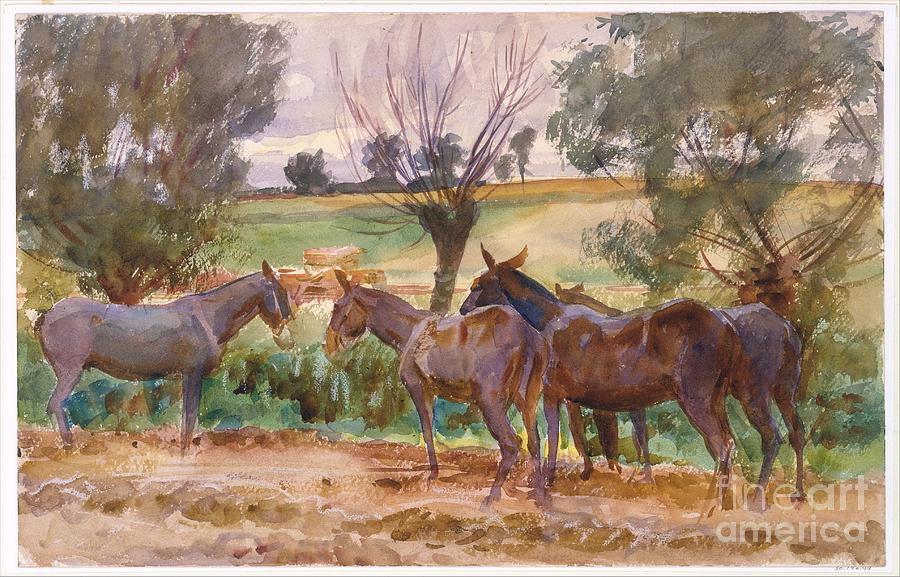 Mules Painting - Mules by Celestial Images