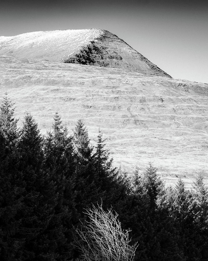 Mull Trees And Peak Photograph