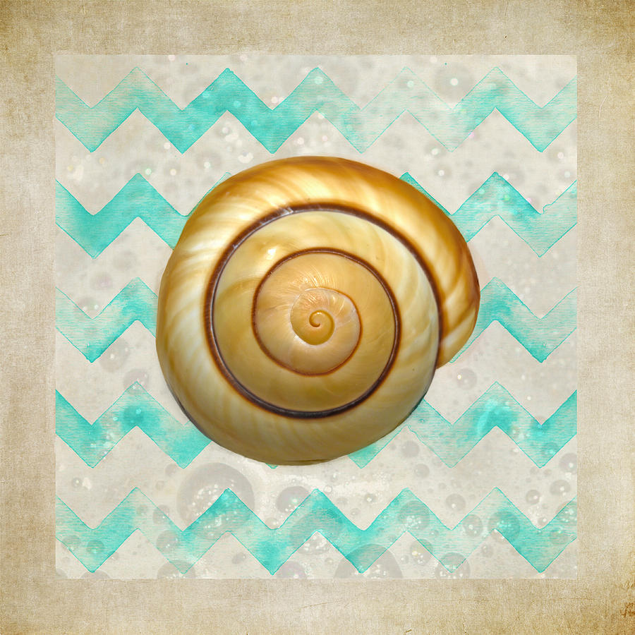 Mollusk Sea Shell In Modern Waves Photograph by Sandi OReilly