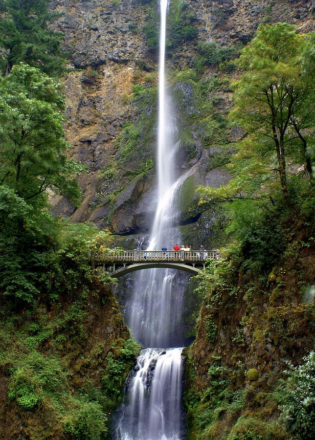 Waterfall Photograph - Multanomah Falls by Marty Koch