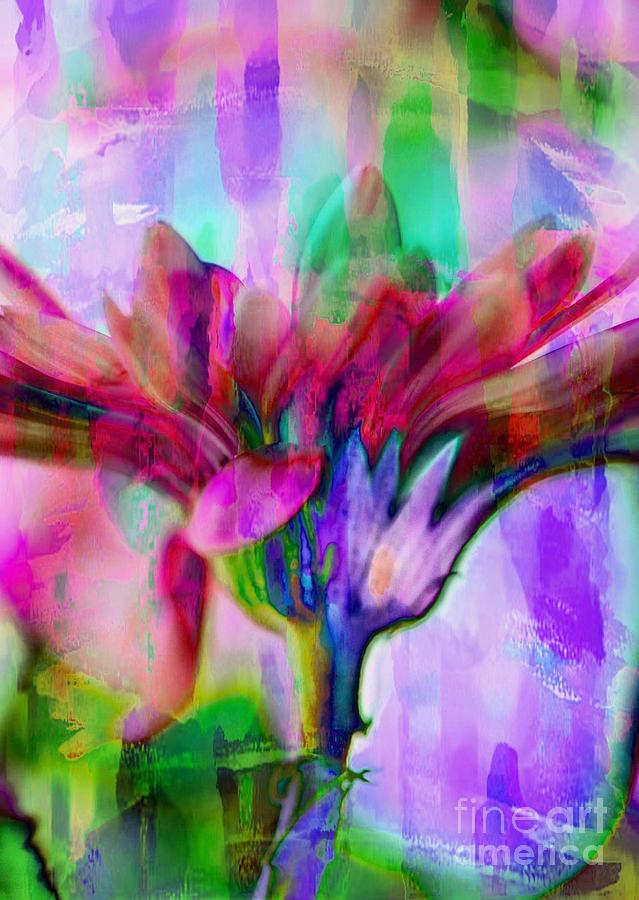 Multi Colored Daisy Photograph by Michael Moriarty Multi Colored Daisy Photograph by Michael Moriarty