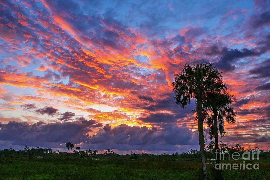Multi-Colored Sunrise Photograph by Tom Claud