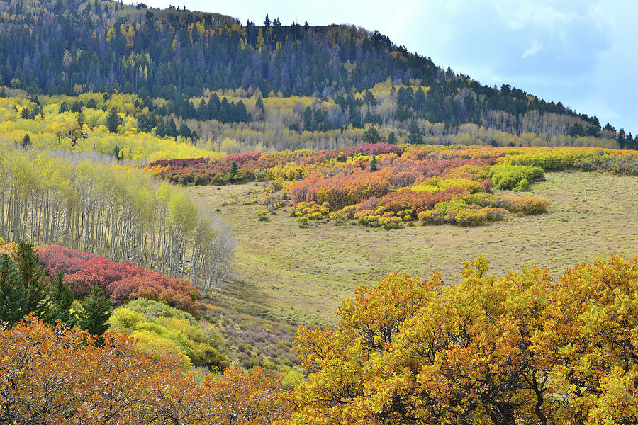 Multi Fall Colored Hills of Last Dollar Road Photograph by Ray Mathis