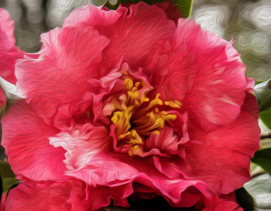 Multicolor Camellia Photograph by Cynthia Wolfe
