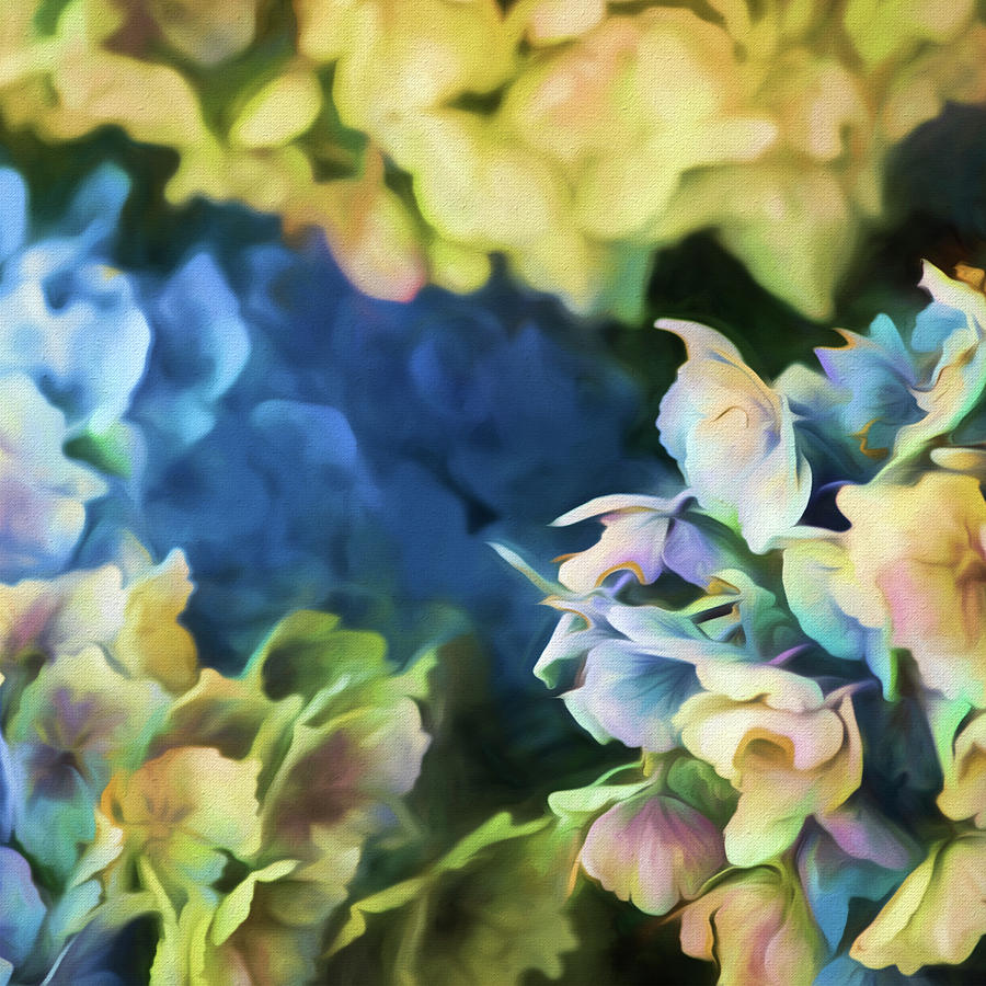 Multicolor Hydrangeas Painting by Bonnie Bruno