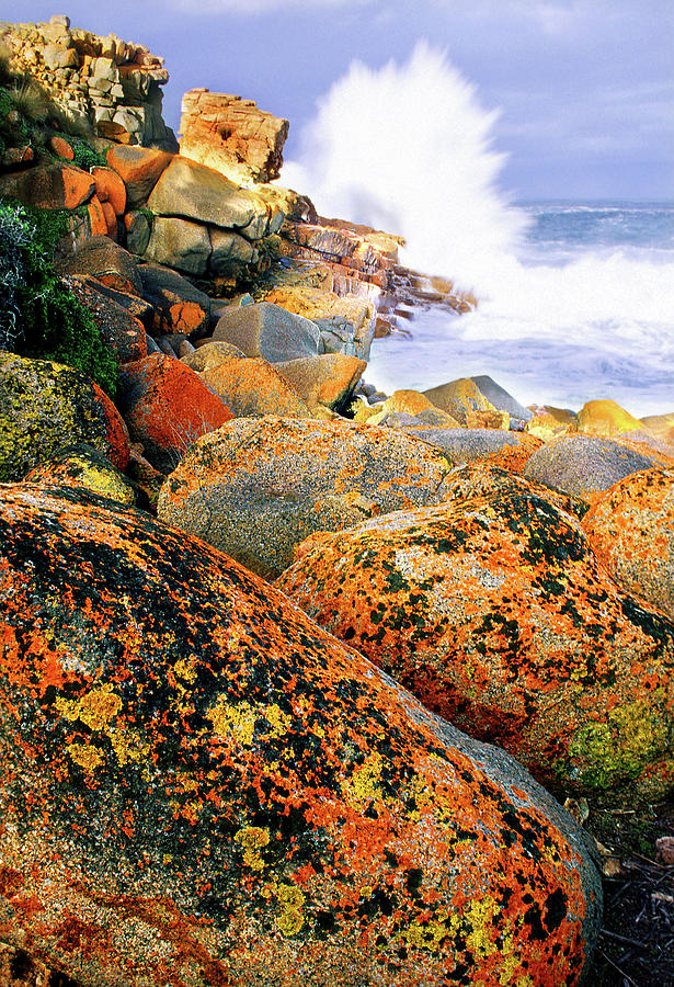Multicolor Rocks Photograph by Ted Keller