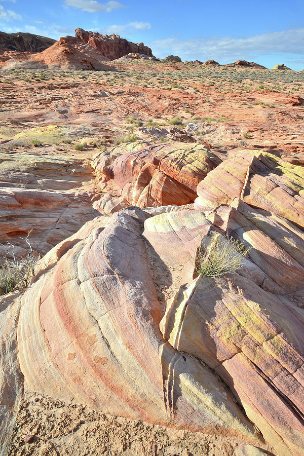 Multicolored Beehives in Valley of Fire Photograph by Ray Mathis