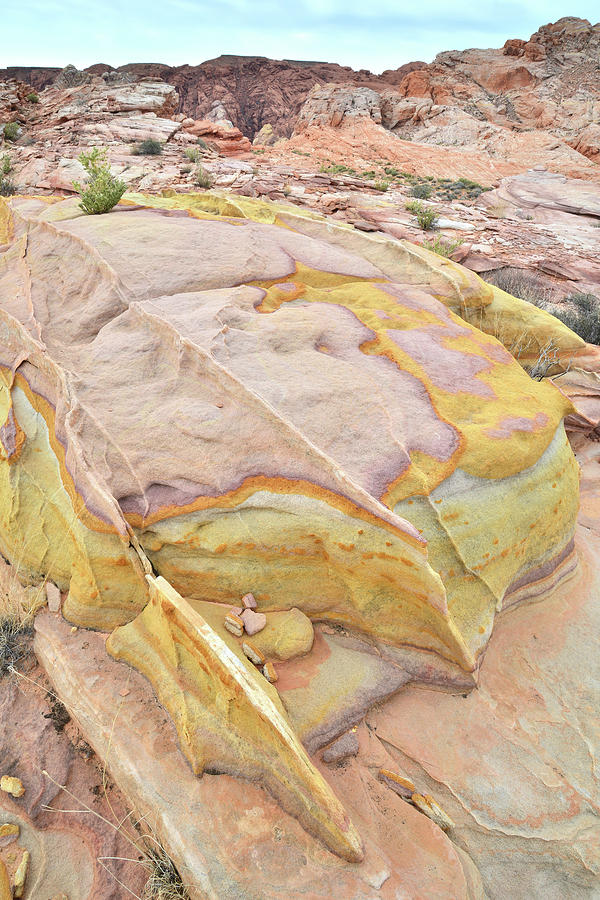 Multicolored Boulder in Valley of Fire Photograph by Ray Mathis