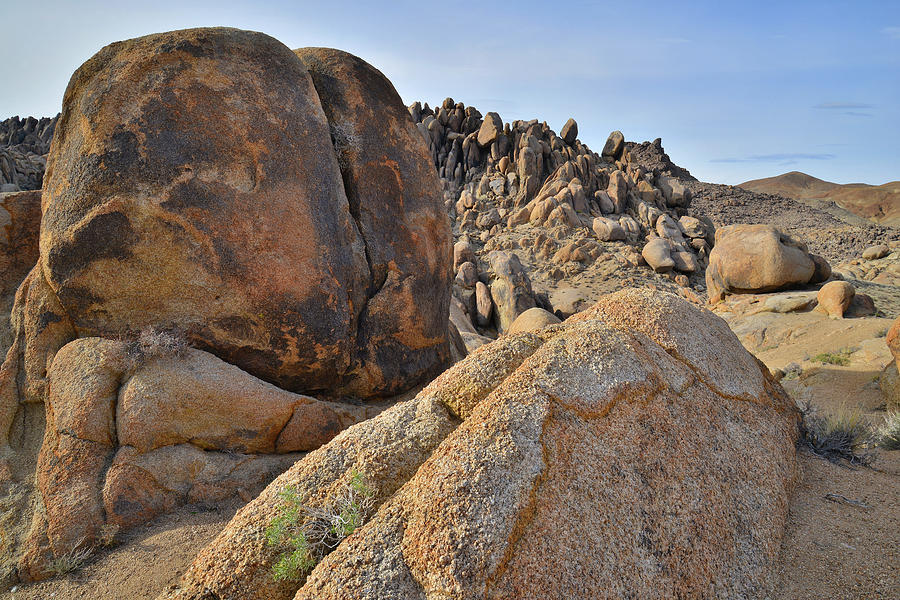 Multicolored Boulders of Alabama Hills Photograph by Ray Mathis