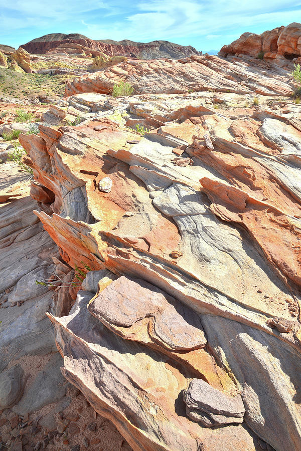 Multicolored Crest of Sandstone in Valley of Fire Photograph by Ray Mathis