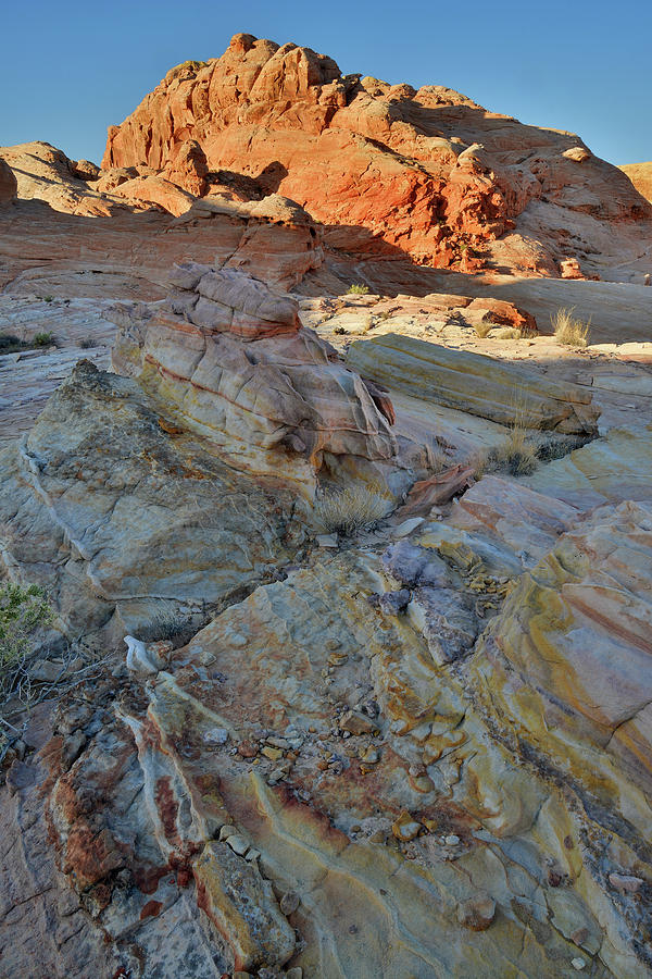 Multicolored Sandstone in Wash 3 of Valley of Fire Photograph by Ray Mathis